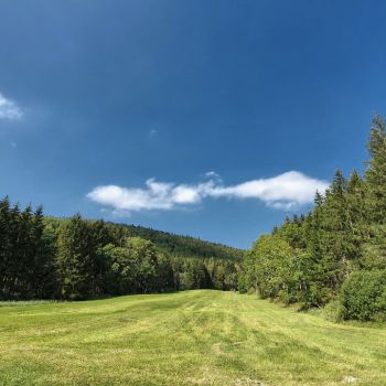 Spätsommer bis in den Oktober?