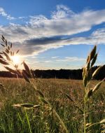 Beginnt der Sommer 2025 am 15. Mai?