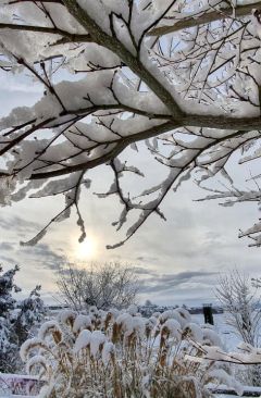 Wetter Februar 2025 - Daten und Fakten