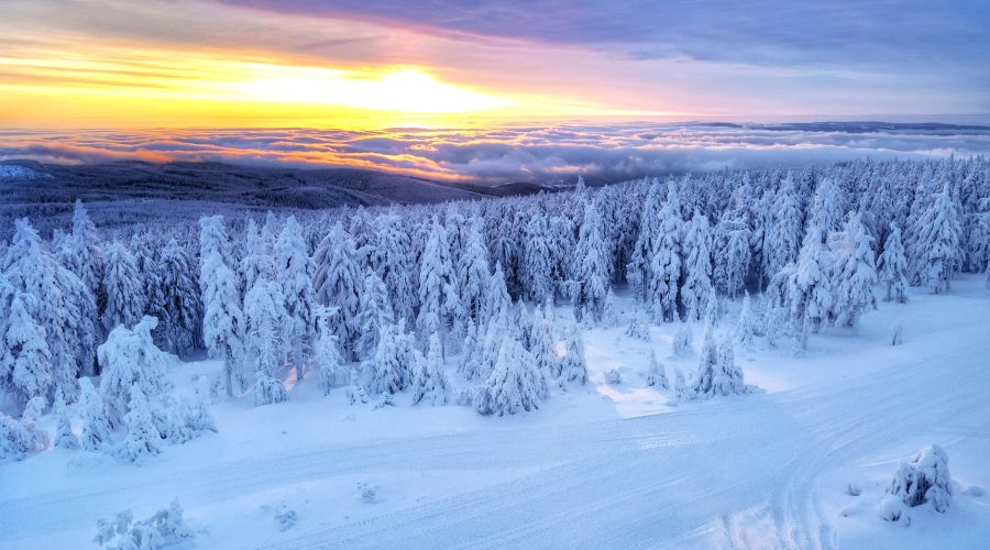 Ein Wintersturm mit unwetterartigem Schneefall? © Martin Bloch