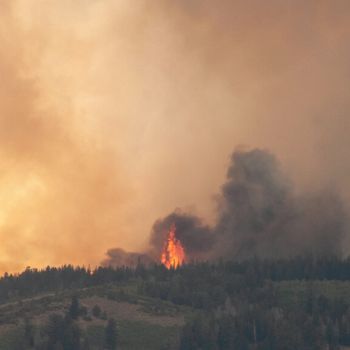 Der Einfluss des Klimawandels auf die Buschfeuer in Australien