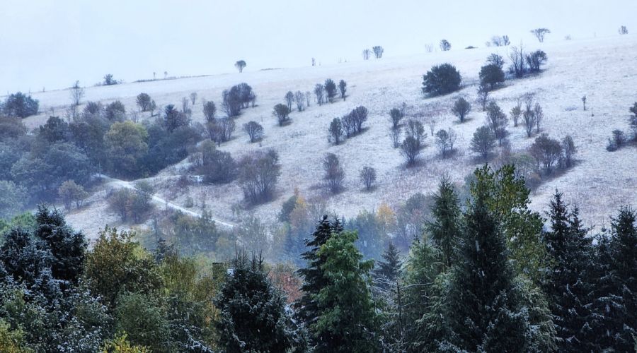 Weiße Weihnachten sind unter bestimmten Voraussetzungen möglich © Martin Bloch