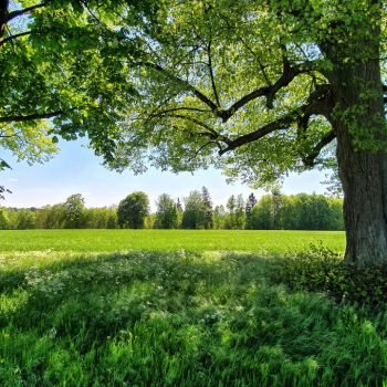 Was das Wetter an Pfingsten zu bieten hat
