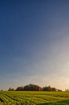 Wetter Oktober 2010 - Daten und Fakten