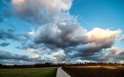 Wettertrend März