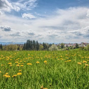 Eine Wetterentwicklung zwischen Frühling und Frühsommer