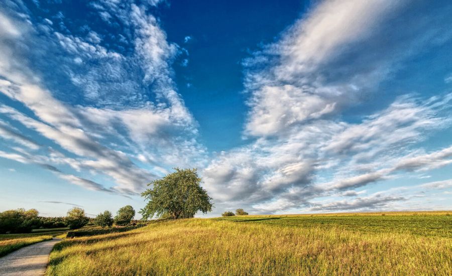 Ein sommerlicher Wettertrend zeichnet sich ab