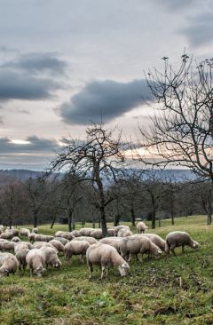 Wetter Weihnachten 2018 - Daten und Fakten