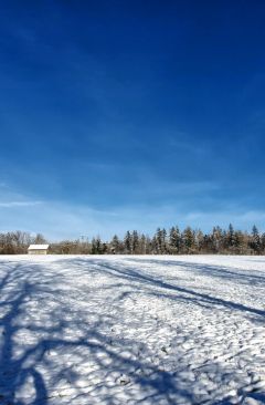 Wetter Januar 2021 - Daten und Fakten