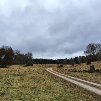 Stürmisches und nasskaltes Februarwetter?