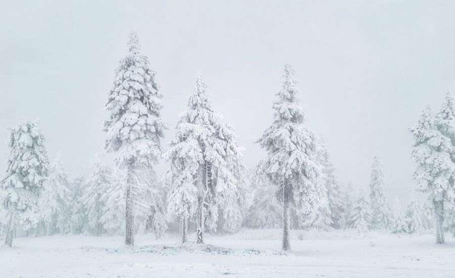 Welche Rolle spielt der Märzwinter mit Schnee, Eis und Frost? © Martin Bloch