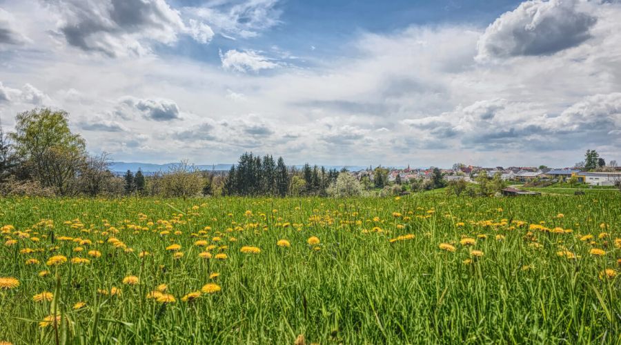 Der Frühling macht sich über Deutschland wieder bemerkbar