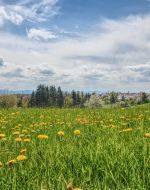 Der Frühling macht sich über Deutschland wieder bemerkbar