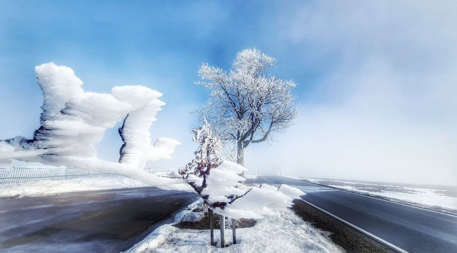 Führt das Phänomen La Niña über Deutschland zu einem knackig kalten Winter? © Martin Bloch