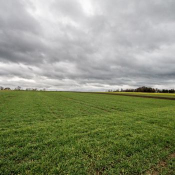 Setzt sich die Westwetterlage durch, hat der Winter so schnell keine Chance mehr
