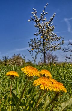 Wetter April 2011 - Daten und Fakten
