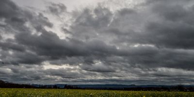 Schwächt sich der Polarwirbel ab, bekommt der Winter eine Chance, stabilisiert sich der Wirbel, kann es richtig warm werden