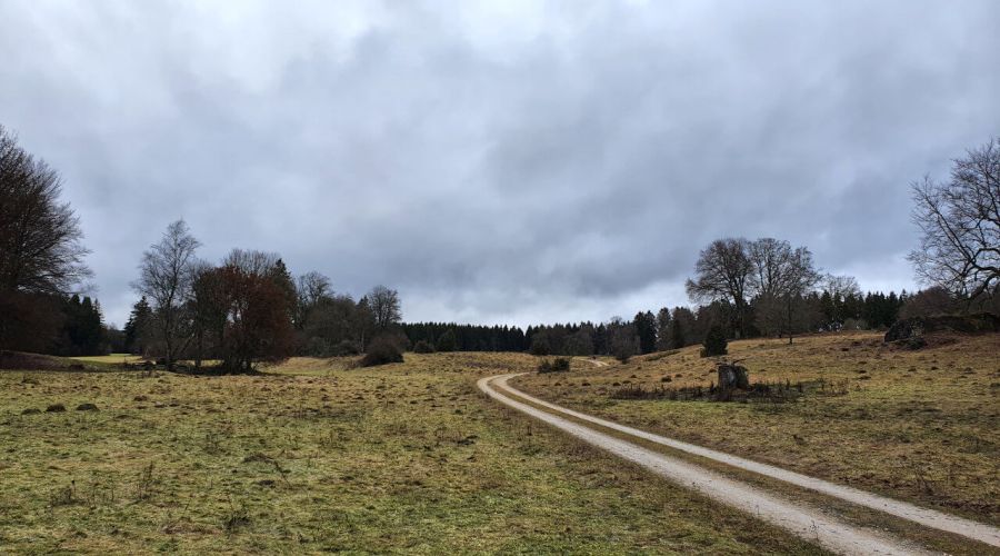 Stürmisches und nasskaltes Februarwetter?