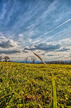 Wetter April 2012 - Daten und Fakten