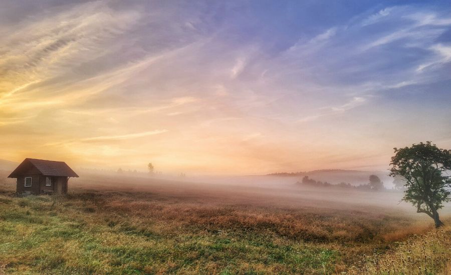 Wetter September - Sonne, Blume, Spätsommer