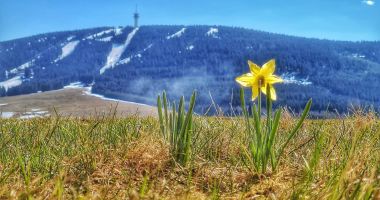 Der Winter ist im Frühling noch nicht ganz fertig und kann immer noch für ein paar Überraschungen gut sein © Martin Bloch