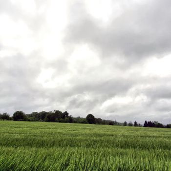 Kommt der Wetterumschwung mit ausreichend Regen?