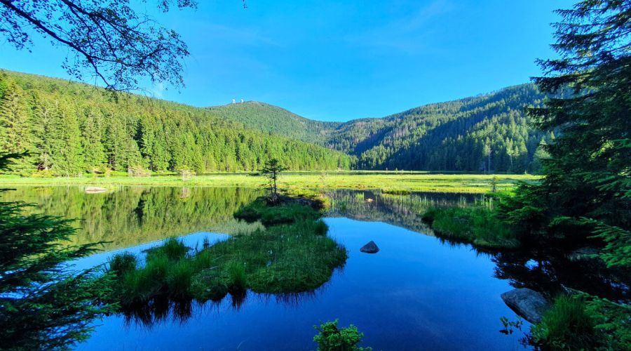 Bahnt sich in der zweiten Sommerhälfte eine hochsommerliche Wetterlage an?