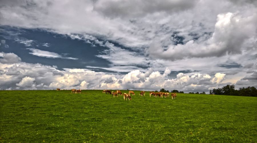 Steht der Sommer im August auf der Kippe?