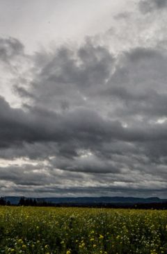 Wetter Weihnachten 2016 - Daten und Fakten