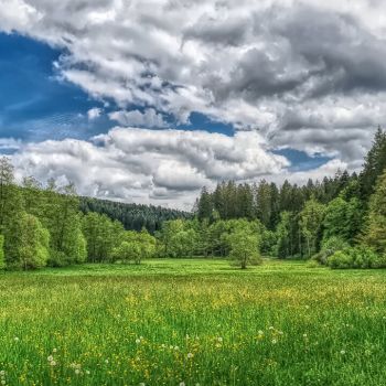 Das Wetter im Juni bleibt unbeständig