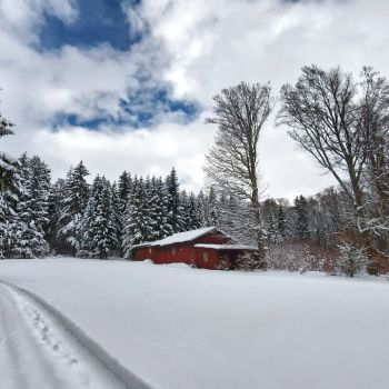 Bringt ein Polarwirbelsplit mit einem Arctic Outbreak den Winter nach Deutschland zurück?