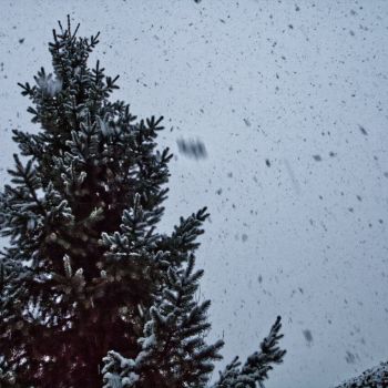 Nasskaltes Dezemberwetter mit gelegentlichen Schnee-, Schneeregen oder Graupelschauern