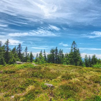 Die Südwestwetterlage sorgt Anfang Juli für einen warmen, aber unbeständigen Wettercharakter