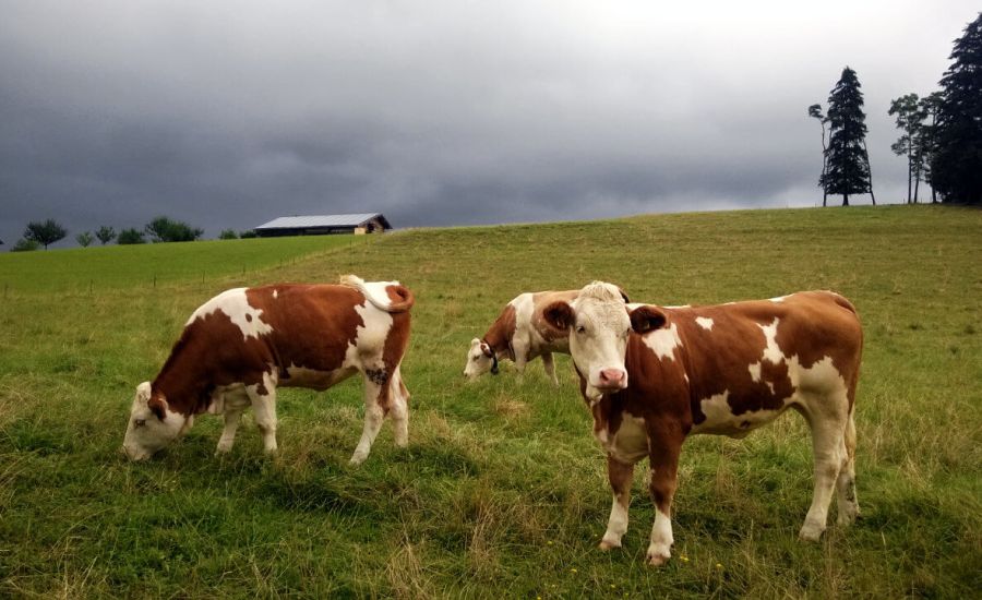 Beenden Unwetter die hochsommerliche Hitze?