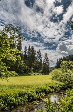 Wetter Juni 2021 - Daten und Fakten