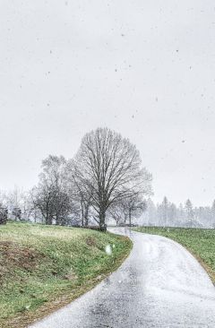 Wetter März 2022 - Daten und Fakten