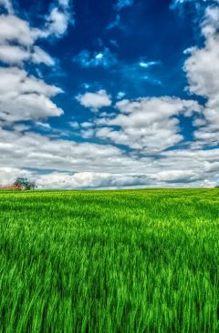 Wetter Juni 2022 - Daten und Fakten