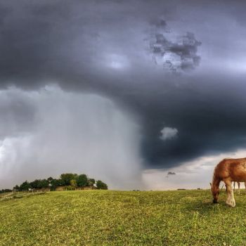 Kräftige Schauer und örtliche Gewitter mit nachfolgendem Wettersturz © Martin Bloch