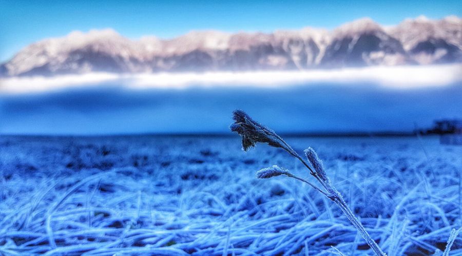 Wie steht es um den Winter bis Nikolaus - ist da noch was möglich? © Martin Bloch