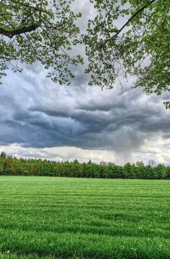 Wetter Mai 2023 - Daten und Fakten