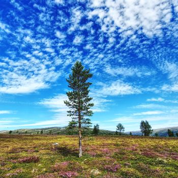 Der trockene und heiße Sommer wandelt sich in einen schwül-warmen und gewittrigen Sommer