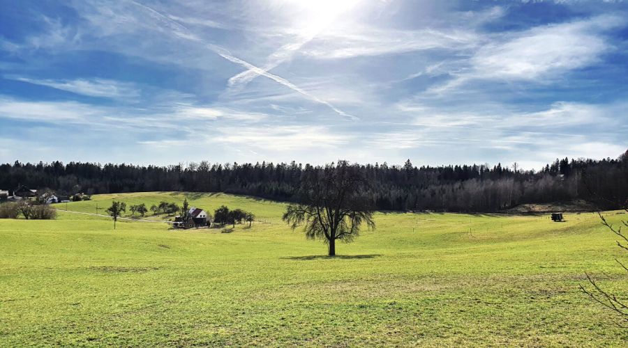 Der Frühling bekommt seine Chance