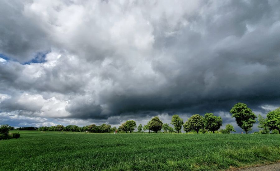 Wetter Mai - Kräftige und länger andauernde Niederschlagsphasen möglich