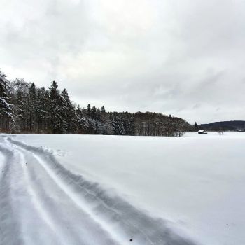 Sorgt ein Polarwirbelsplit für einen Arctic Outbreak - oder für eine Milderung?