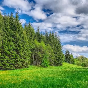 Das Wetter im Juni bleibt wechselhaft