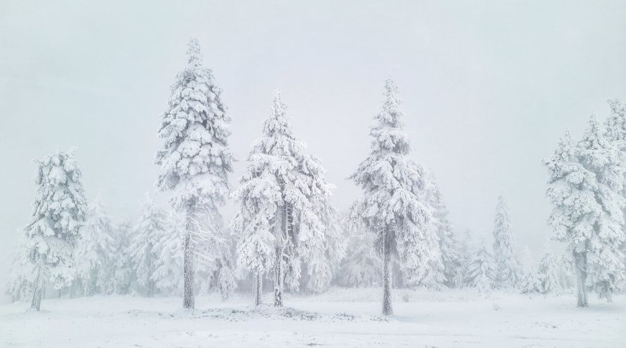 Turbulentes Wetter über Weihnachten - Schneefall kann mit einer Luftmassengrenze nicht ausgeschlossen werden © Martin Bloch