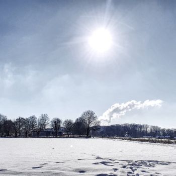 Winterliche Ansätze im Februar