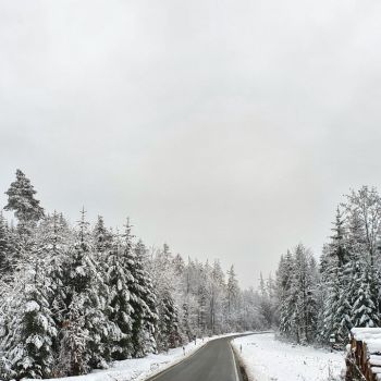Wo bleibt der Winter?