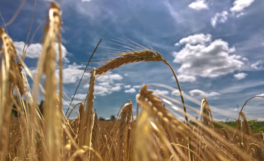 Bleibt die hochsommerliche Hitze über Deutschland erhalten?