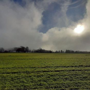 Vorerst kein Winterwetter mehr?